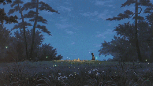 1541141900290767.gif 640.gif